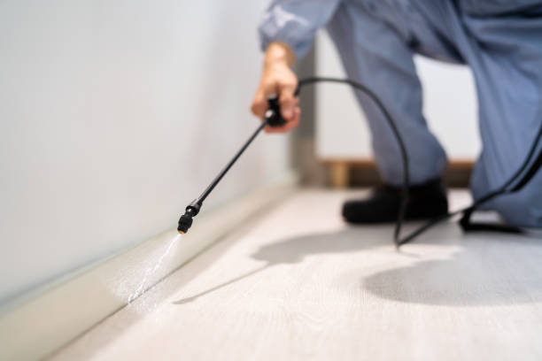 Professional exterminator conducting IPM assessment in Yamhill